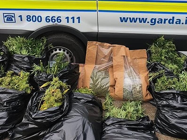 Gardaí make arrest following Wexford drugs seizure