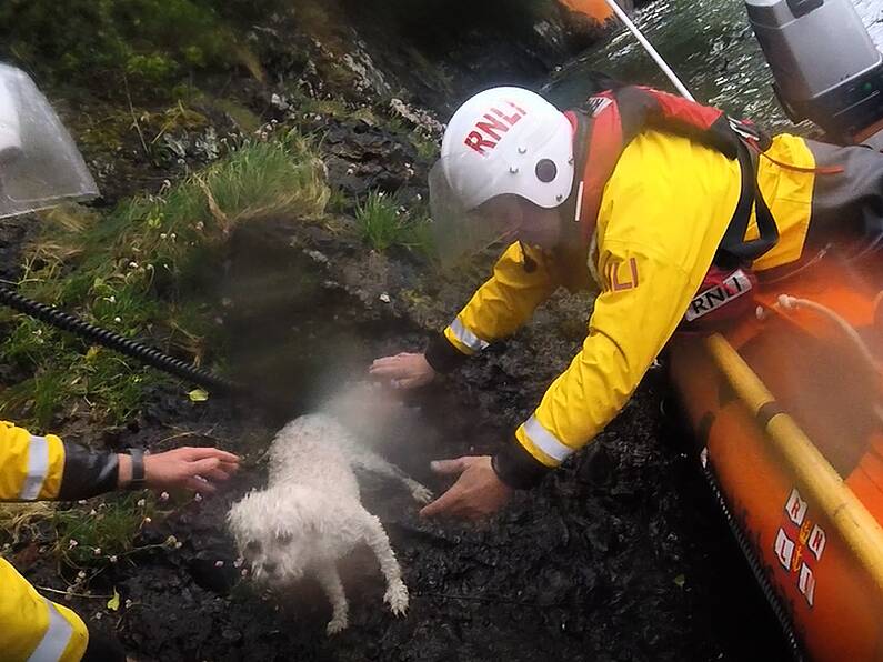 Rescue 117, Dunmore East & Fethard RNLI rescue father and daughter cut off by tide