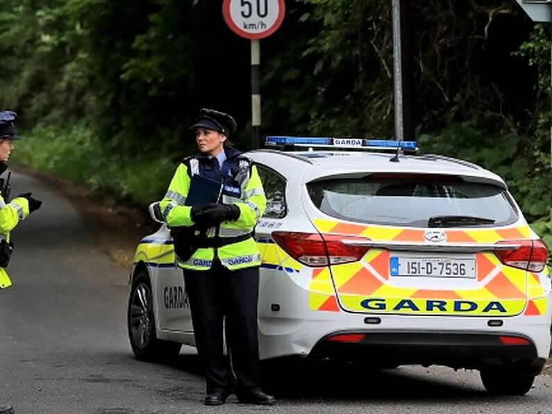 Gardaí appealing for witnesses in fatal Kilkenny road traffic collision