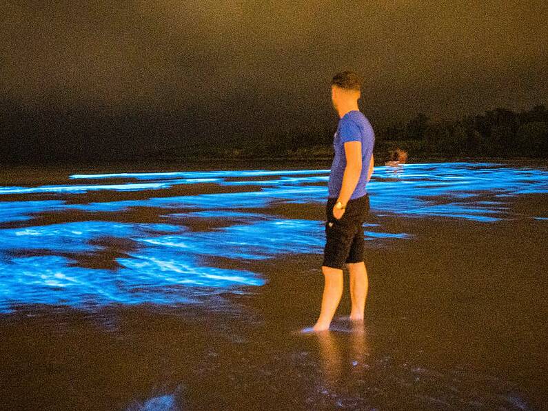 'Feels like once in a lifetime': Photographer captures stunning bioluminescence at Irish beach