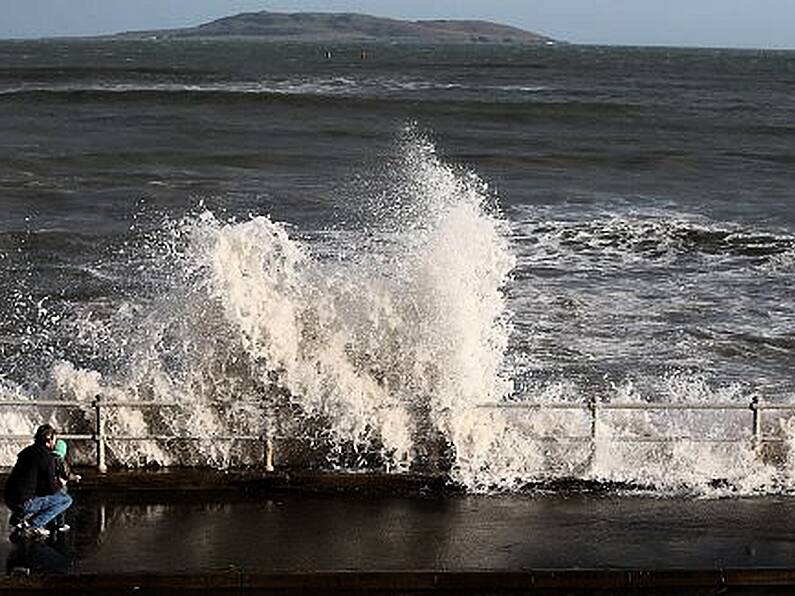 Dangerous jellyfish spotted on Irish beaches