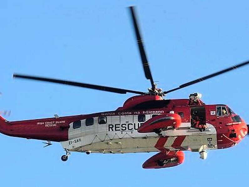 Boy airlifted to hospital from Wexford with serious injuries following dog attack