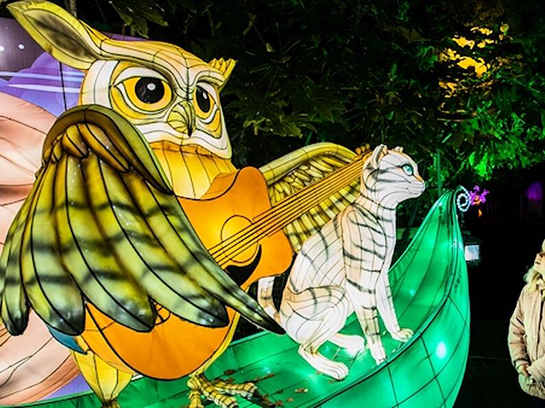 Dublin Zoo cancel annual Wild Lights exhibition