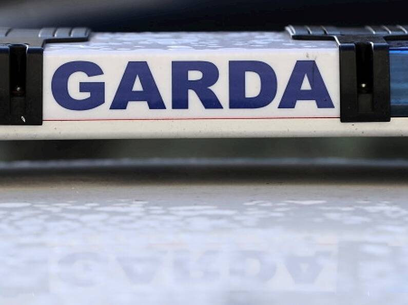 Garda pleads guilty to assault during arrest