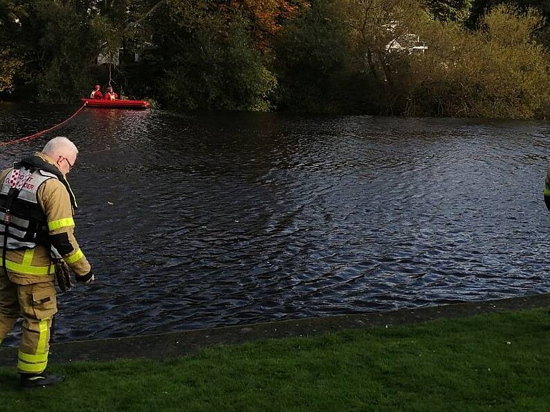 Six people rescued from river by fire brigade