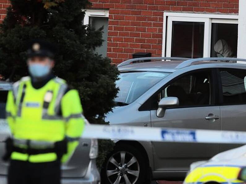 Children found dead in Dublin home were murdered