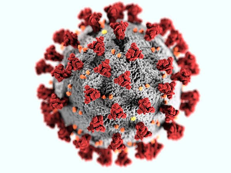 Over 1,000 new outbreaks of Covid 19 recorded in the last week