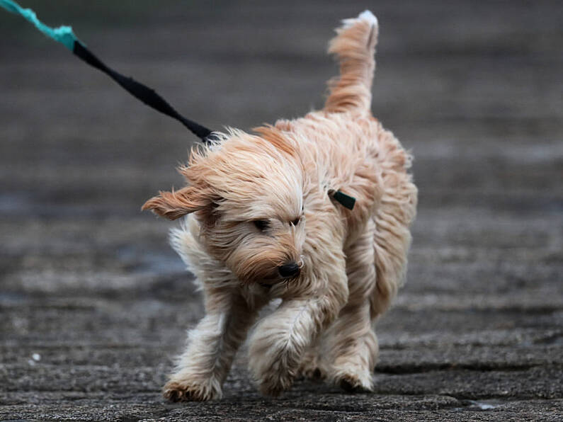 Met Éireann warns of more unsettled weather as yellow warning in place