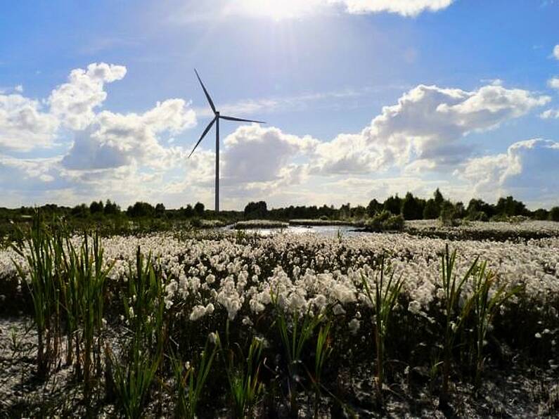 Bord na Móna formally ends all peat harvesting