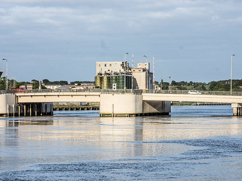 Waterford City River Rescue reminds people about acting fast following incident at Rice Bridge