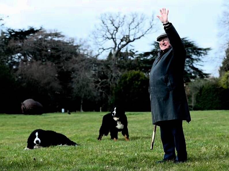 Photos: President Higgins strolls in Phoenix Park with new puppy Misneach