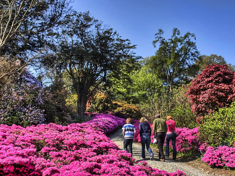 Mount Congreve to reopen on April 29th