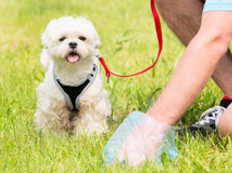 Warning messages from loudspeakers at dog poo black spots