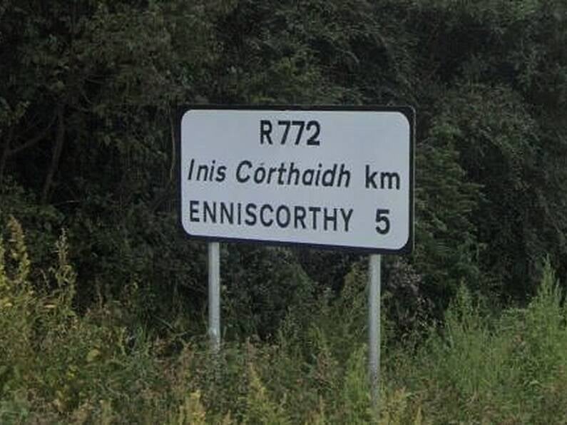 Wexford Councillor believes Enniscorthy is the ideal location for an IDA advanced technology building