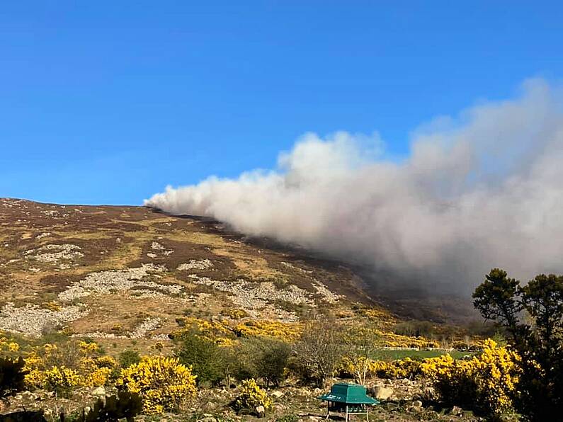 Fire crews from Carlow battled another gorse fire overnight