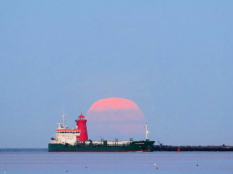 Pink supermoon lights up the dawn skies