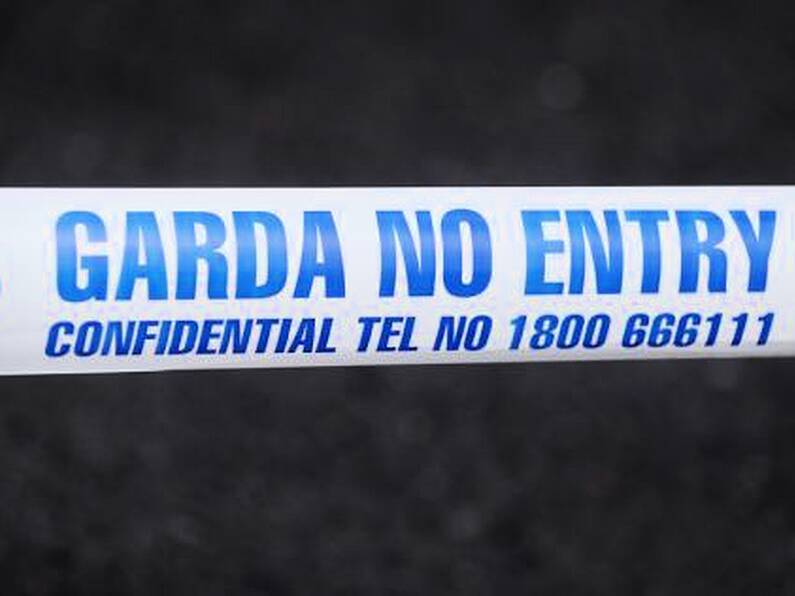 Pedestrian (40s) dies in Kildare collision