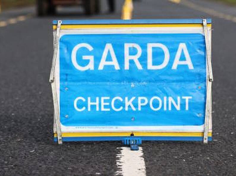 Banned driver who drove directly at garda at checkpoint loses sentence appeal