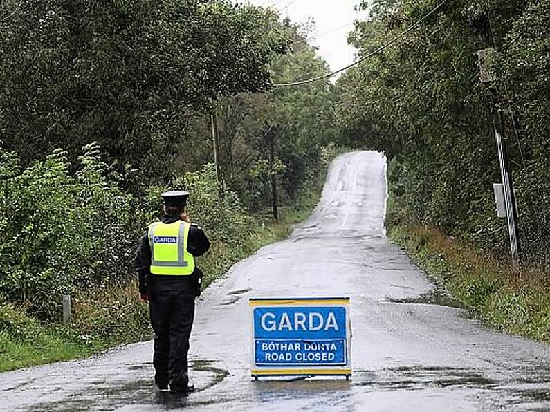 Search for JoJo Dullard in Kildare woods comes up empty