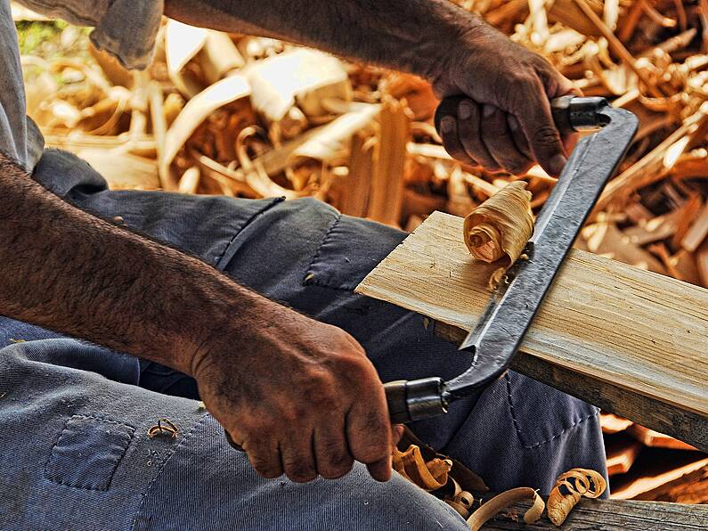 Carpenters and general labourers wanted immediately to help Wexford family