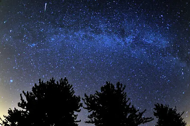 Perseid meteor shower to light up the night sky this week