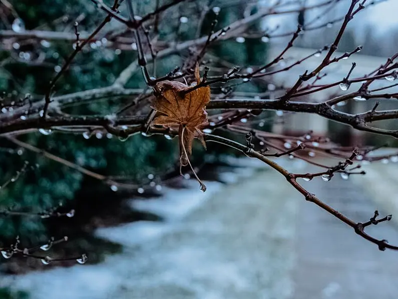 Status Yellow Ice warning issued for entire South East