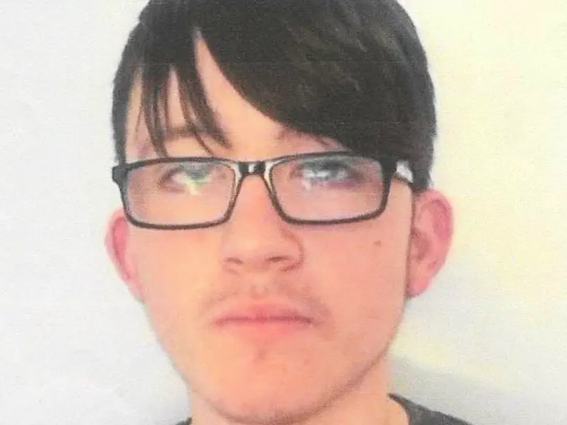 Gardaí appeal for information on missing Wexford teenager