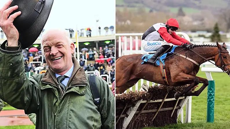 Willie Mullins picks up second win at Cheltenham