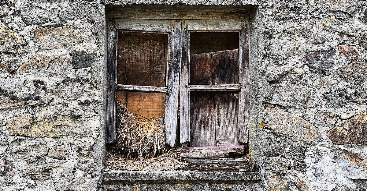 Almost 3,000 council homes across Ireland are vacant or boarded up. 770 of them have been boarded up for over a year