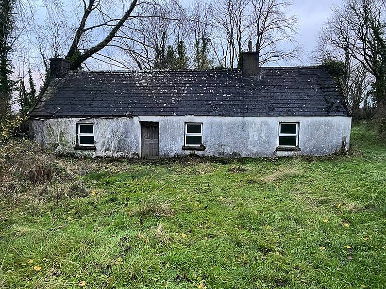 Check out this Carlow cottage on 9-acre site for €150,000