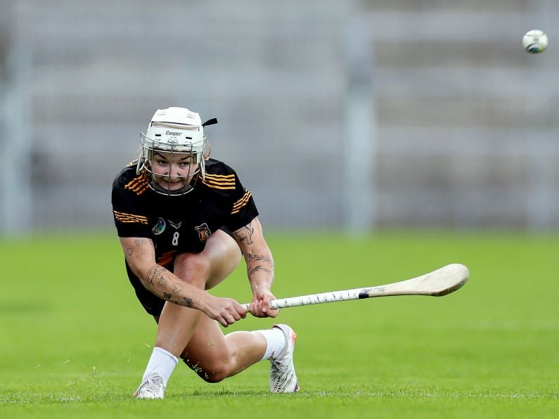 Five South East players named in Camogie Soaring Stars team