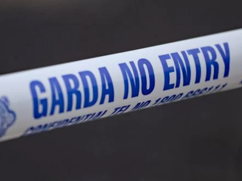Man (20s) killed after falling from truck in Carlow