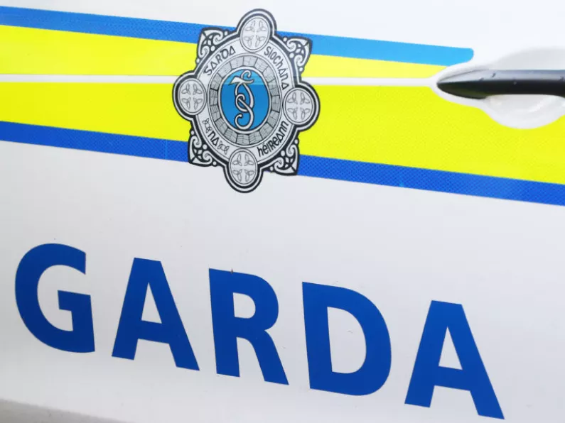 Gardaí hunt for driver after officer injured and patrol car rammed
