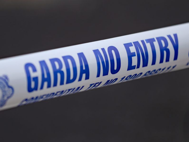 Body removed from Co Kildare helicopter crash site