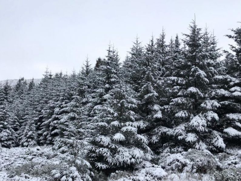 Cold weather continues into the weekend as Met Éireann issues yellow warning