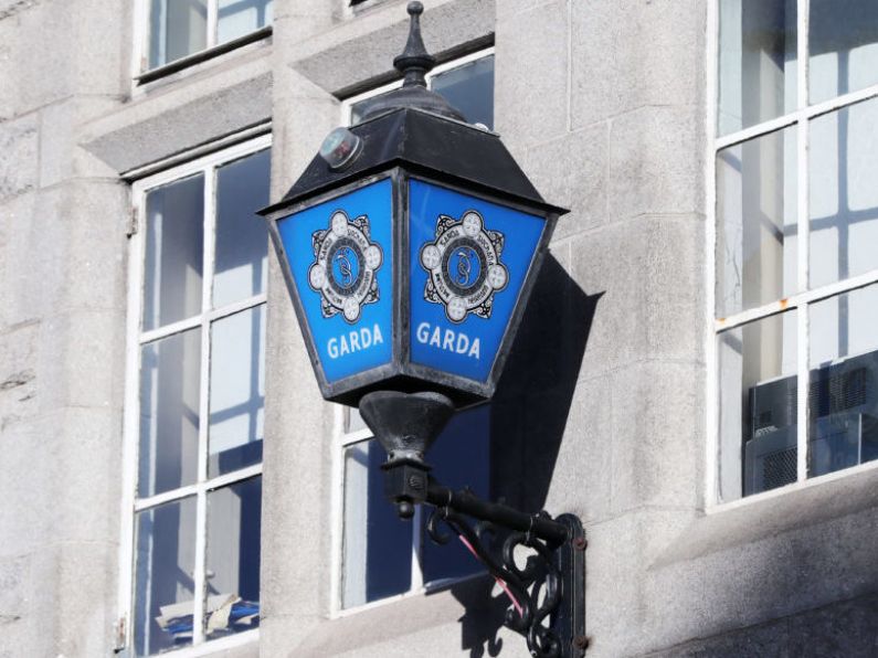 Two men arrested in connection with burglary and assault on woman in Kildare