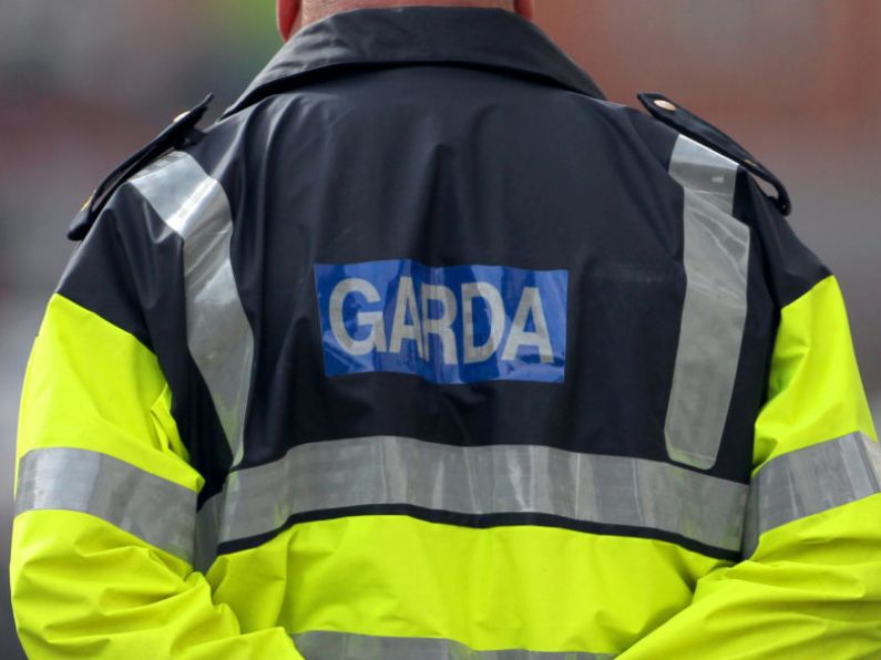 Gardaí searching for occupants of car that drove on wrong side of road before hit-and-run