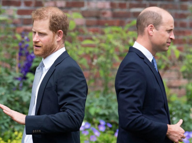 Prince Harry saw ‘the red mist’ in his brother during alleged physical confrontation