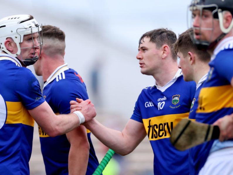 Former Tipperary hurler says the game must eliminate "ball throwing virus"