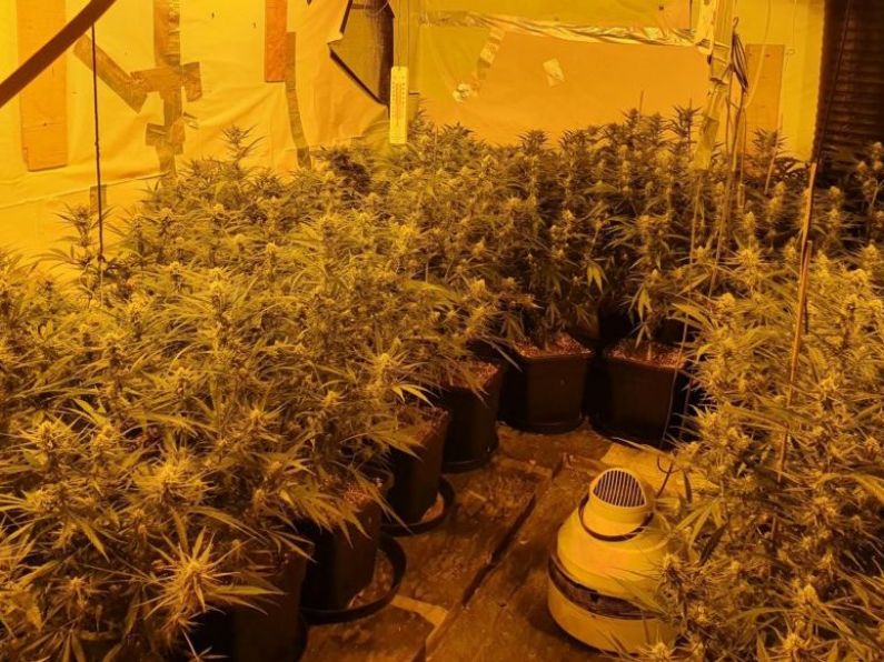 Two men charged after cannabis growhouse discovered