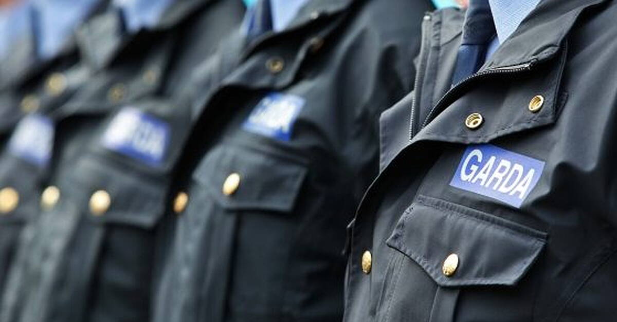 Garda recruitment campaign attracts less than half the numbers who applied in 2022 - Vimarsana News