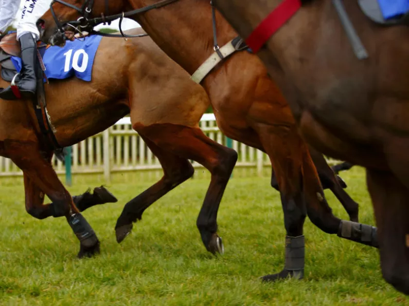 Horse Racing Ireland says industry being hammered by rising insurance costs