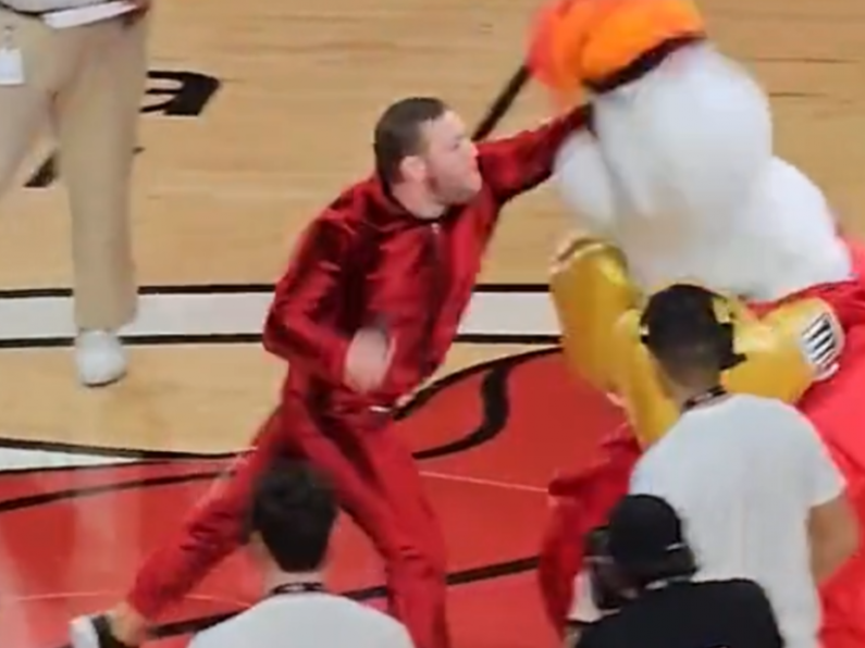 Miami Heat mascot treated at ER after Conor McGregor punches
