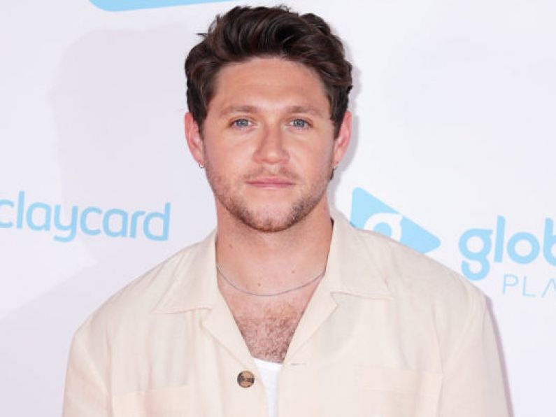 Niall Horan celebrates album The Show going to UK number one
