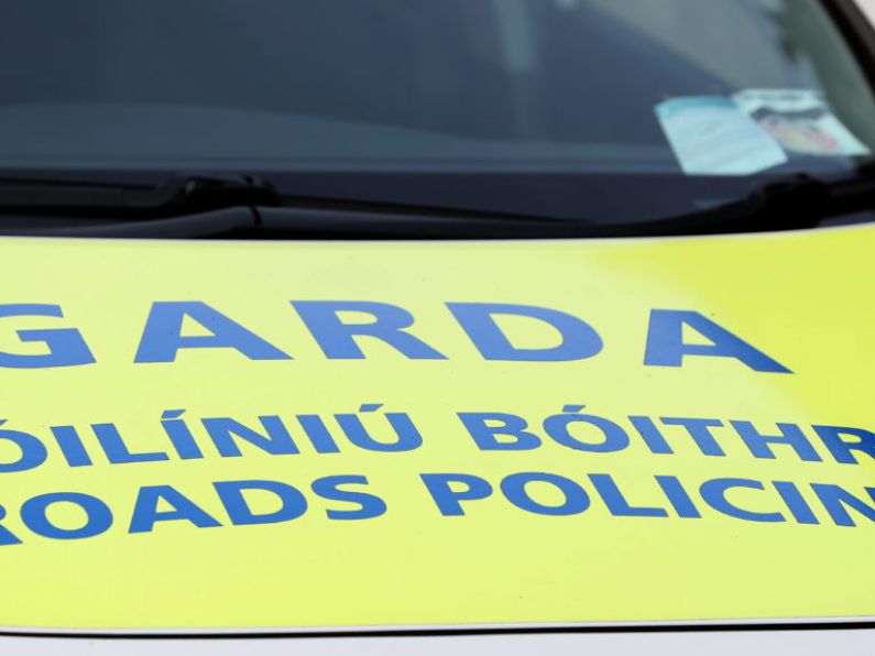 Gardaí urgently seek information in connection with fatal hit-and-run