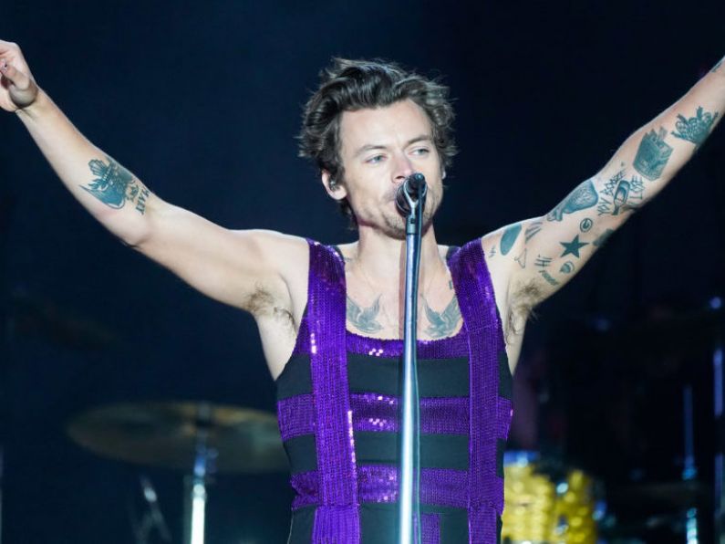 Harry Styles hit in face with object during Vienna show