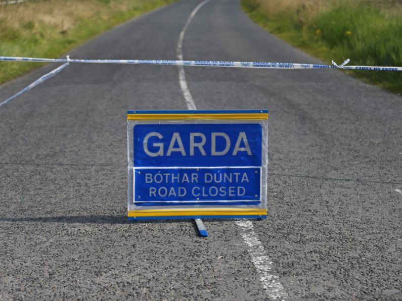 A man has died in a single vehicle crash in Co Tipperary last night