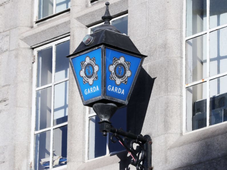 Gardaí arrest 12 people in operation targeting ‘wanted fugitives’