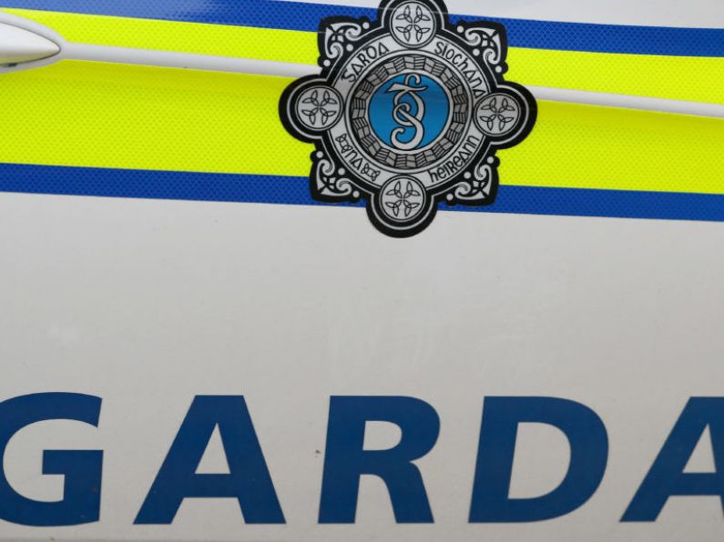 Cannabis worth €1.5m seized at Rosslare Europort