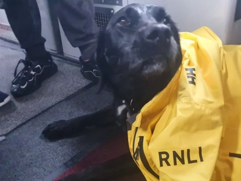 RNLI rescue father, son and dog 'Billy' after engine failure